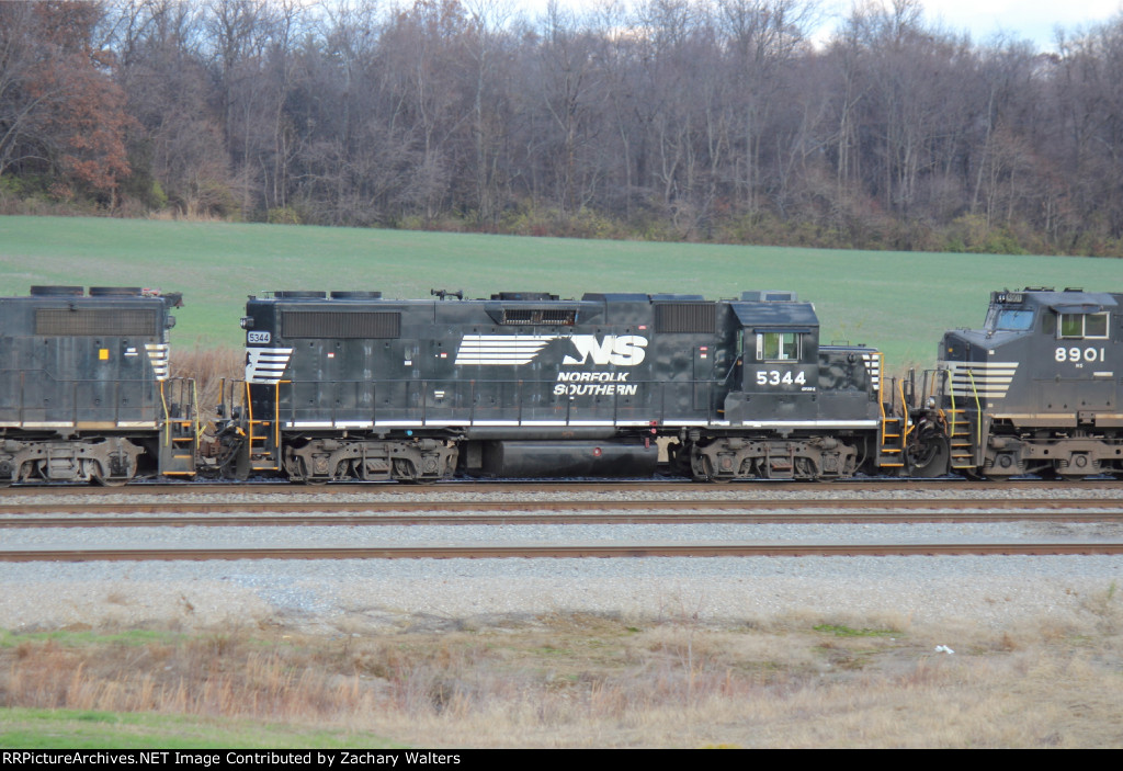 NS 5344